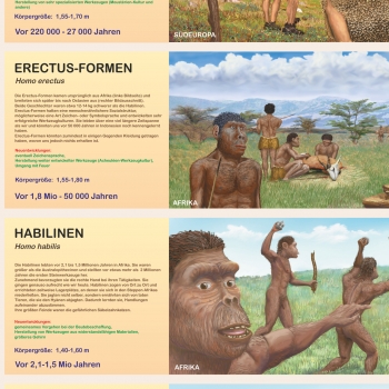 Preview: Großposter "Entwicklung des Menschen"