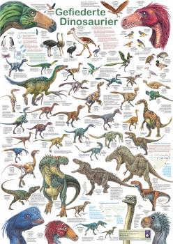 Poster "Gefiederte Dinosaurier"