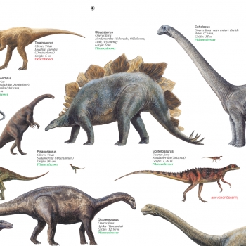 Poster "Dinosaurier aus Trias und Jura"