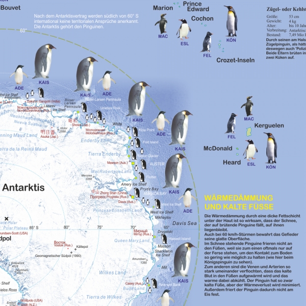 Großposter "Pinguine"