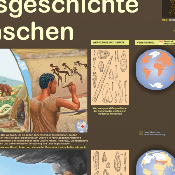 Poster "Entwicklungsgeschichte der Menschen"